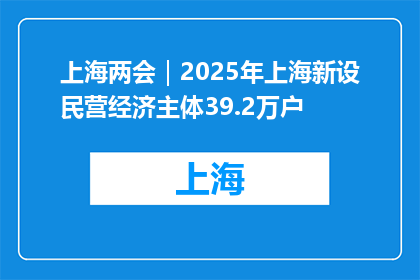 上海两会｜2025年上海新设民营经济主体39.2万户
